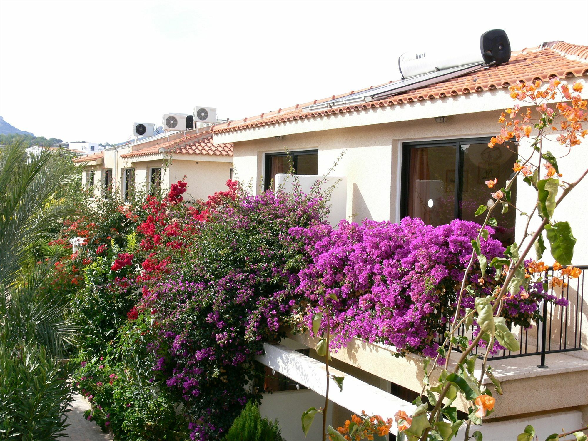 Tavros Hotel Apartments Polis Exterior foto